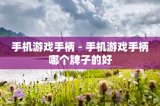 手机游戏手柄 - 手机游戏手柄哪个牌子的好