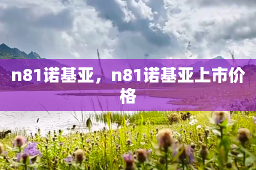 n81诺基亚，n81诺基亚上市价格