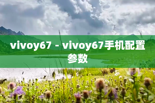 vivoy67 - vivoy67手机配置参数