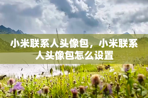 小米联系人头像包，小米联系人头像包怎么设置