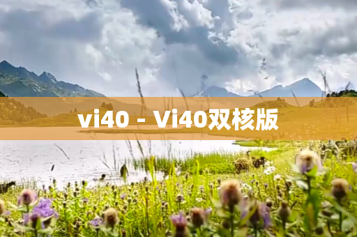 vi40 - Vi40双核版