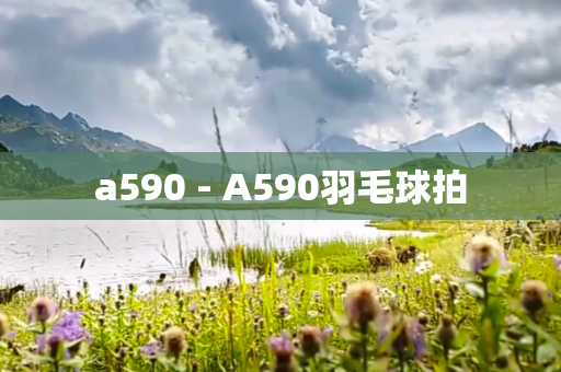 a590 - A590羽毛球拍