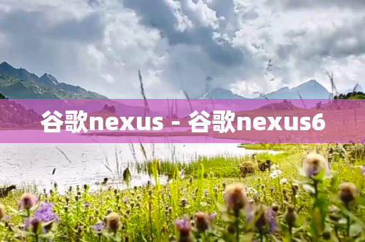 谷歌nexus - 谷歌nexus6