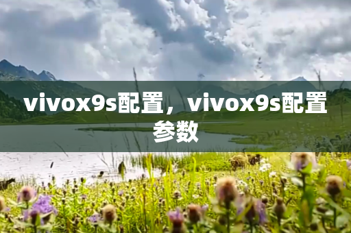 vivox9s配置，vivox9s配置参数