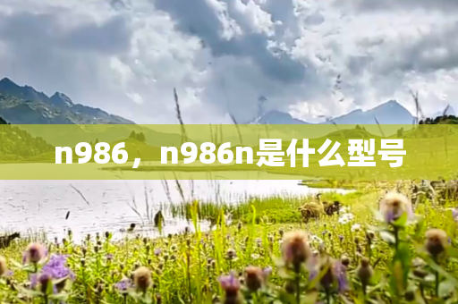 n986，n986n是什么型号