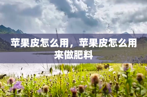 苹果皮怎么用，苹果皮怎么用来做肥料