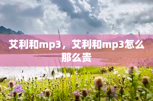 艾利和mp3,艾利和mp3怎么那么贵