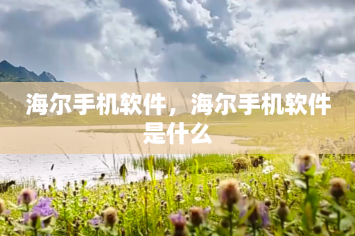 海尔手机软件，海尔手机软件是什么