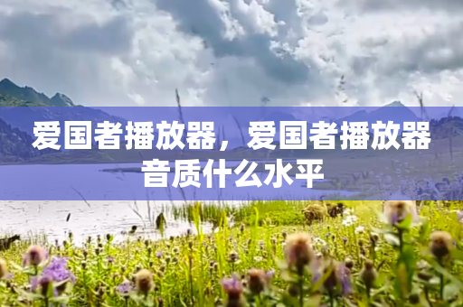 爱国者播放器，爱国者播放器音质什么水平