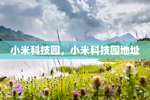 小米科技园，小米科技园地址