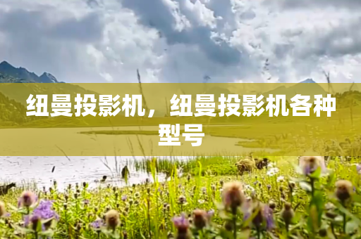 纽曼投影机，纽曼投影机各种型号