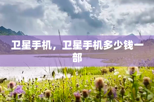 卫星手机，卫星手机多少钱一部