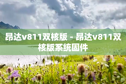 昂达v811双核版 - 昂达v811双核版系统固件