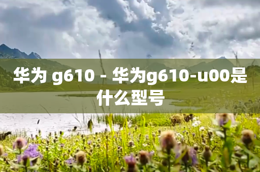 华为 g610 - 华为g610-u00是什么型号