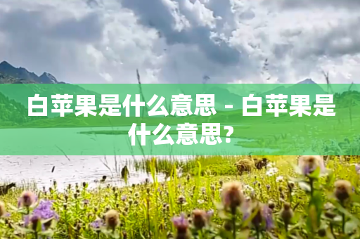 白苹果是什么意思 - 白苹果是什么意思?