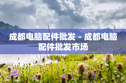 成都电脑配件批发 - 成都电脑配件批发市场