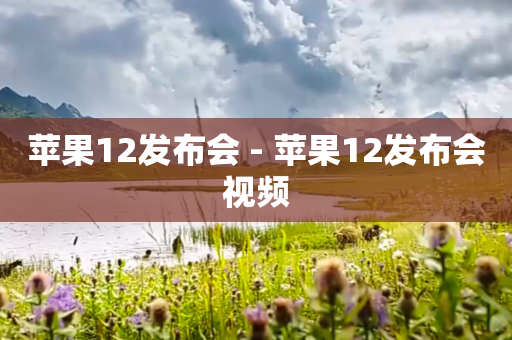 苹果12发布会 - 苹果12发布会视频