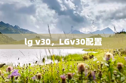 lg v30，LGv30配置