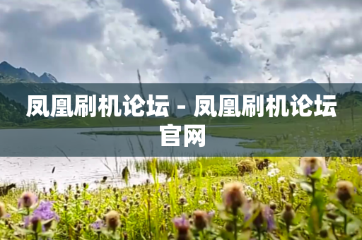 凤凰刷机论坛 - 凤凰刷机论坛官网