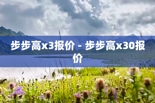 步步高x3报价 - 步步高x30报价