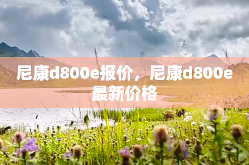 尼康d800e报价，尼康d800e最新价格