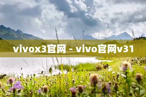 vivox3官网 - vivo官网v31