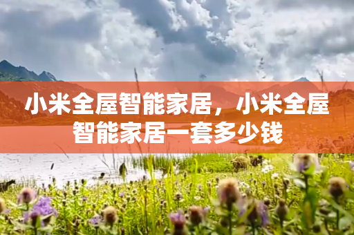小米全屋智能家居，小米全屋智能家居一套多少钱