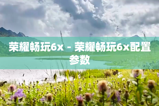 荣耀畅玩6x - 荣耀畅玩6x配置参数