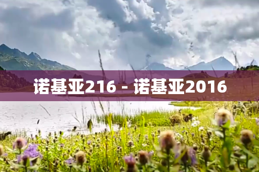 诺基亚216 - 诺基亚2016