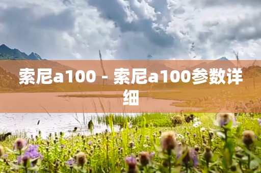 索尼a100 - 索尼a100参数详细