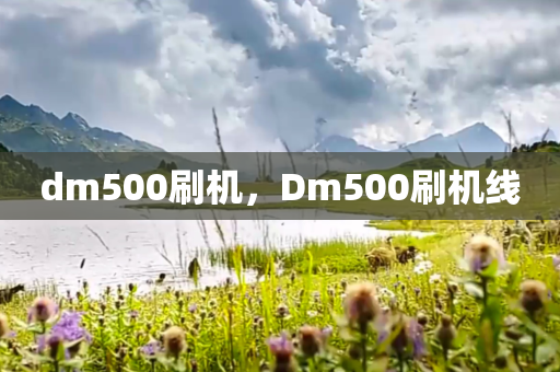 dm500刷机，Dm500刷机线