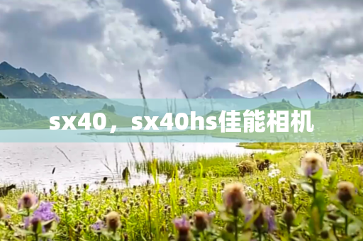 sx40，sx40hs佳能相机