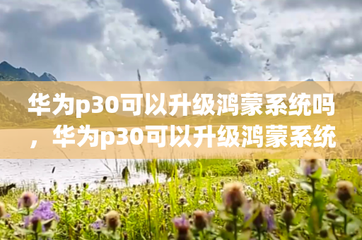 华为p30可以升级鸿蒙系统吗，华为p30可以升级鸿蒙系统吗