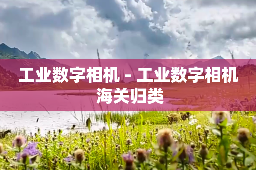 工业数字相机 - 工业数字相机 海关归类