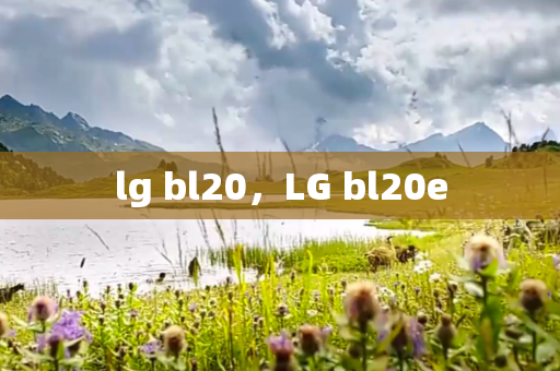 lg bl20，LG bl20e