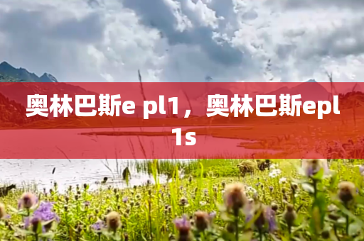 奥林巴斯e pl1，奥林巴斯epl1s