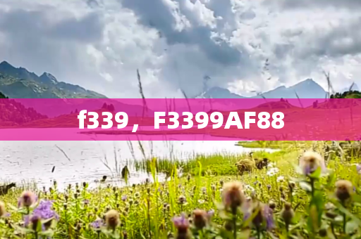f339，F3399AF88