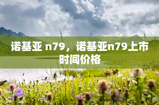 诺基亚 n79，诺基亚n79上市时间价格