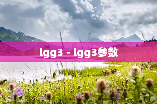lgg3 - lgg3参数
