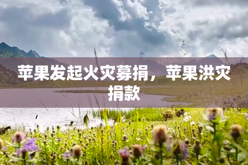 苹果发起火灾募捐，苹果洪灾捐款