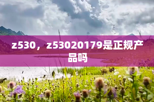 z530，z53020179是正规产品吗