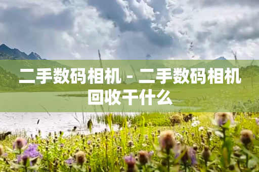 二手数码相机 - 二手数码相机回收干什么