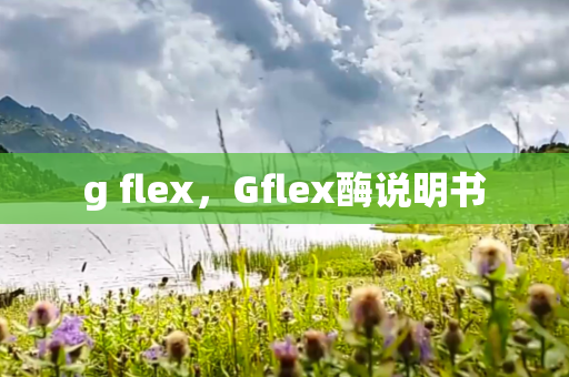 g flex，Gflex酶说明书