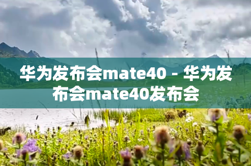 华为发布会mate40 - 华为发布会mate40发布会