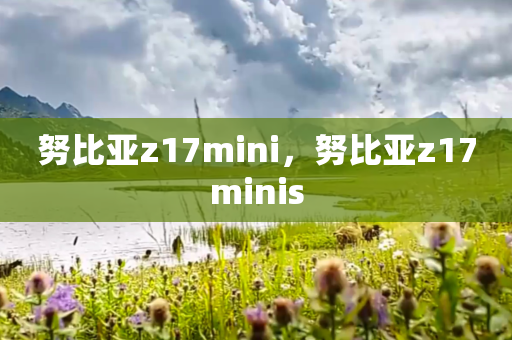 努比亚z17mini，努比亚z17minis