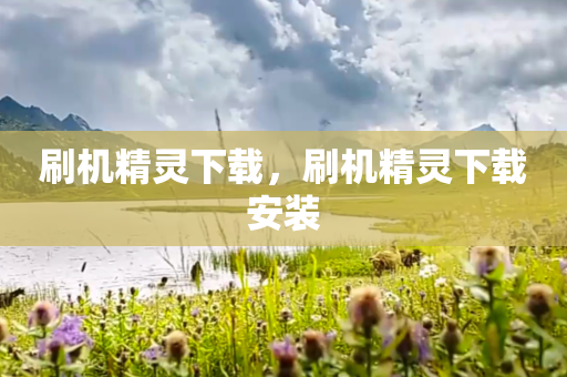 刷机精灵下载，刷机精灵下载安装