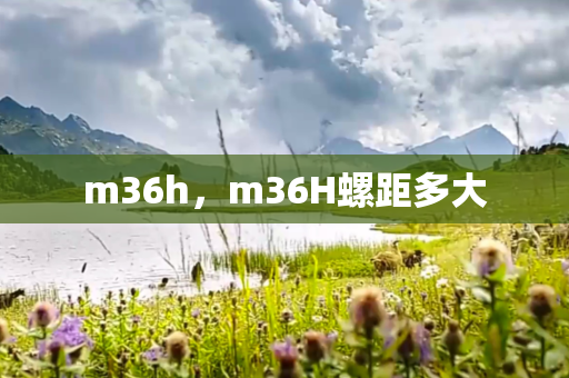 m36h，m36H螺距多大