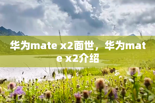 华为mate x2面世，华为mate x2介绍