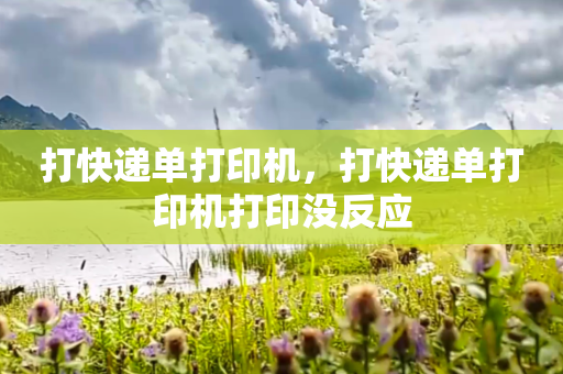 打快递单打印机，打快递单打印机打印没反应