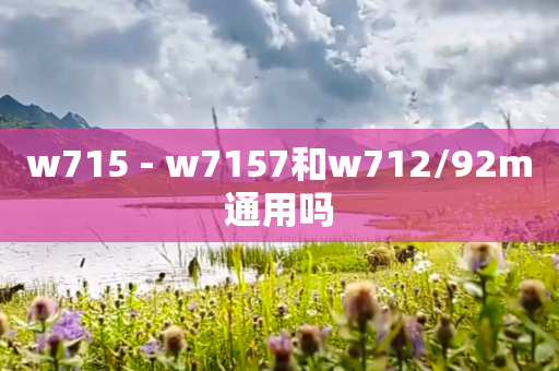 w715 - w7157和w712/92m通用吗